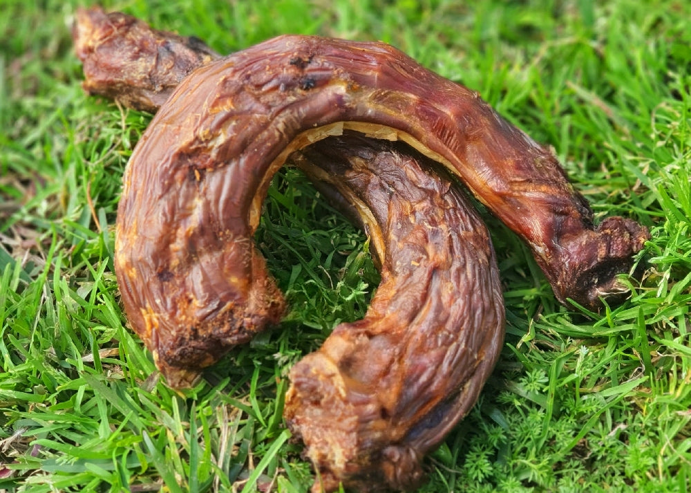 Turkey Necks