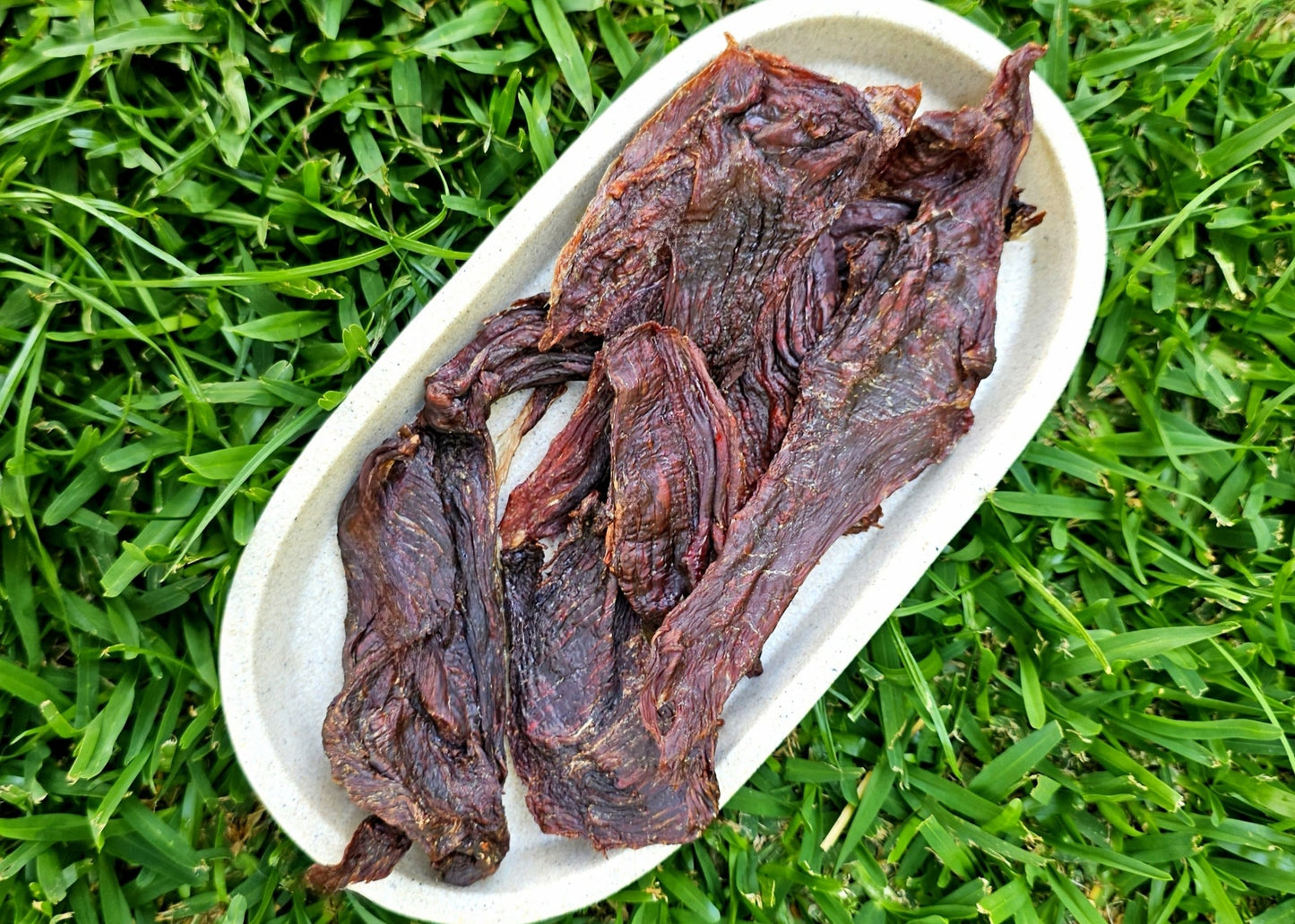 Venison Jerky