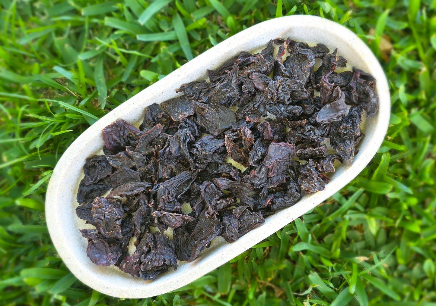 Kangaroo Training Treats