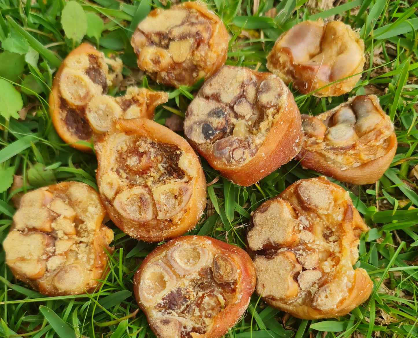 Pig Trotter Discs