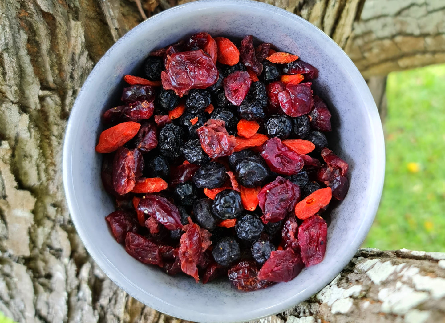 Berry Blast Meal Topper