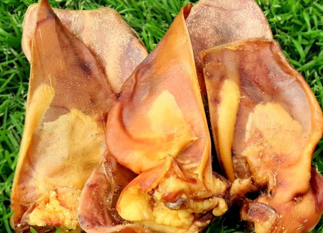 Pig Ear