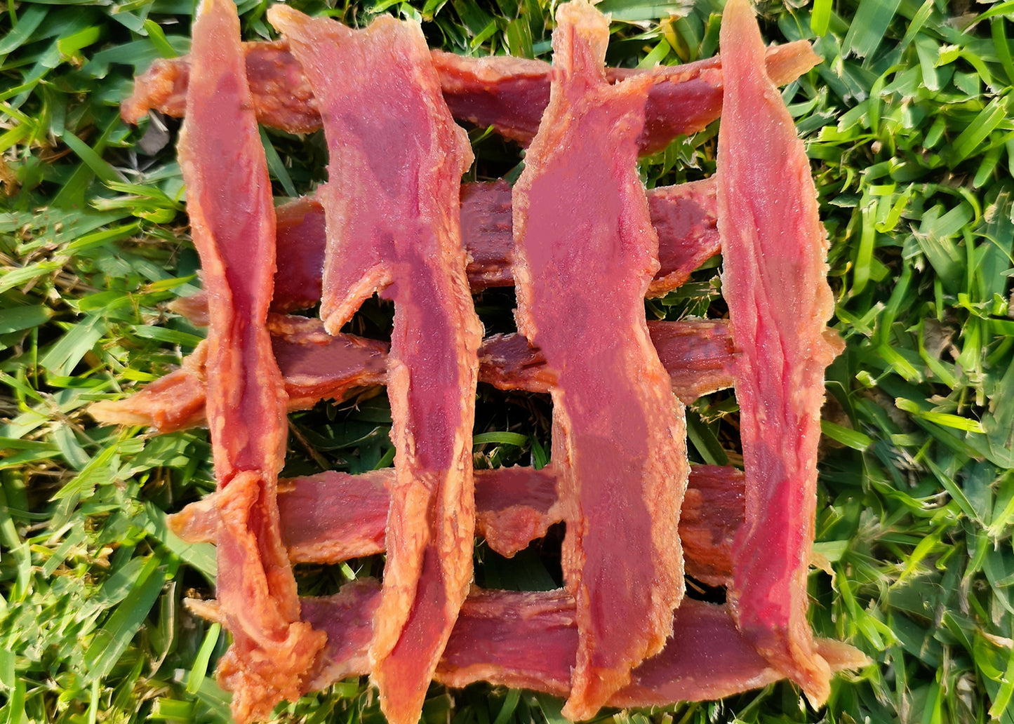 Duck Jerky