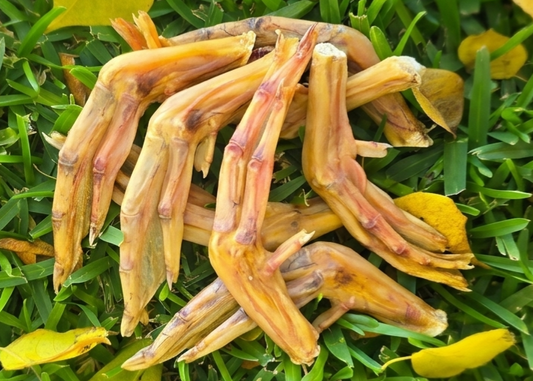 Duck Feet