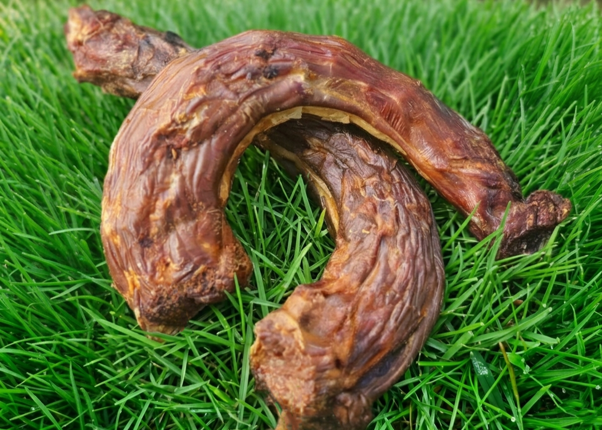Turkey Necks