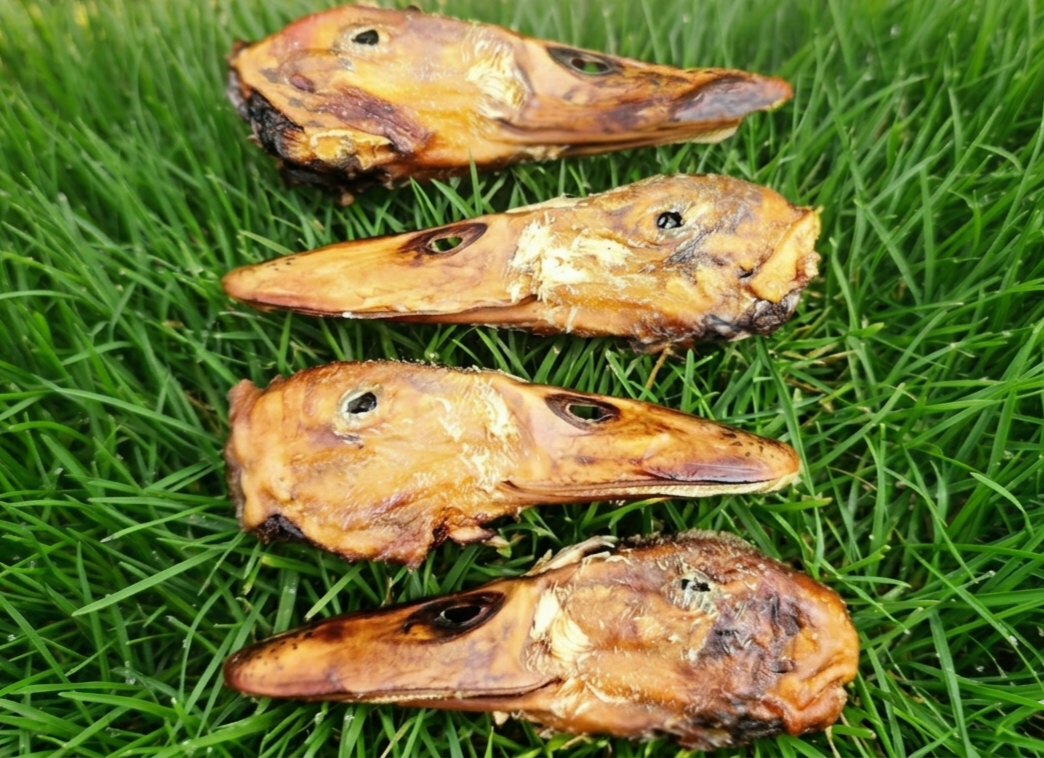 Duck Heads
