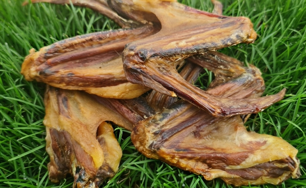 Duck Wings