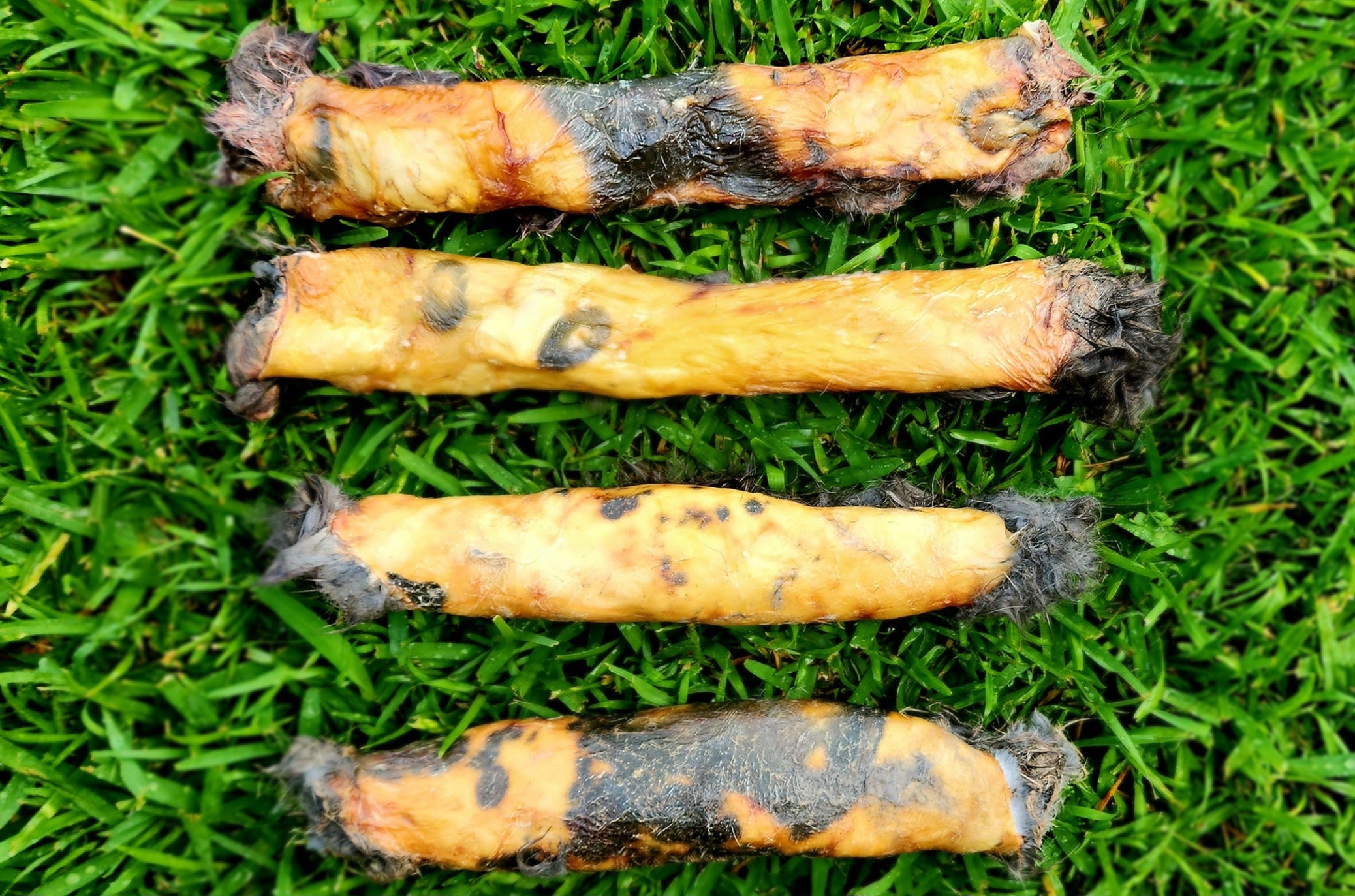 Rabbit Skin Rolls – Fat Boy Treats